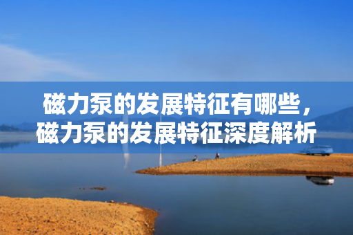 磁力泵的发展特征有哪些，磁力泵的发展特征深度解析：技术创新引领行业变革