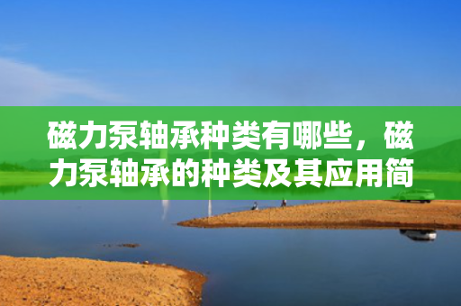 磁力泵轴承种类有哪些，磁力泵轴承的种类及其应用简介