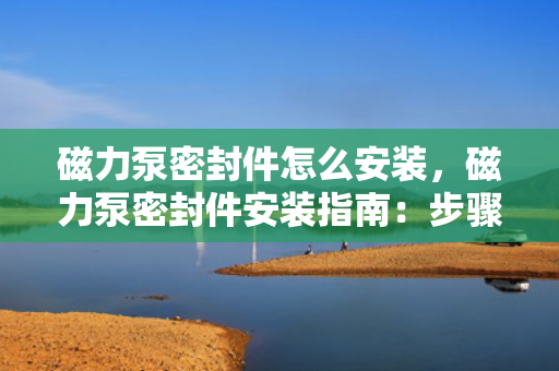 磁力泵密封件怎么安装，磁力泵密封件安装指南：步骤与要点解析