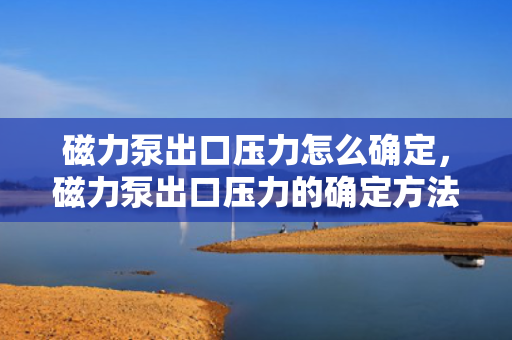 磁力泵出口压力怎么确定，磁力泵出口压力的确定方法探讨