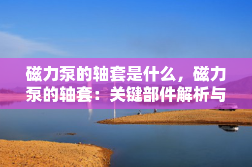 磁力泵的轴套是什么，磁力泵的轴套：关键部件解析与功能介绍