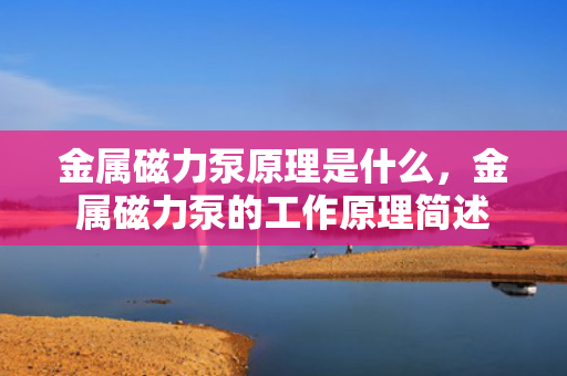 金属磁力泵原理是什么，金属磁力泵的工作原理简述