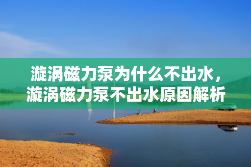 漩涡磁力泵为什么不出水，漩涡磁力泵不出水原因解析