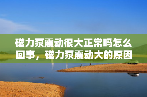 磁力泵震动很大正常吗怎么回事，磁力泵震动大的原因及是否正常解析