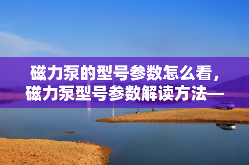 磁力泵的型号参数怎么看，磁力泵型号参数解读方法——快速了解磁力泵选型关键