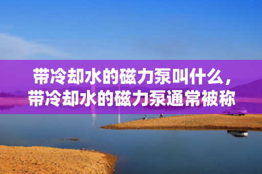 带冷却水的磁力泵叫什么，带冷却水的磁力泵通常被称为“冷却水式磁力泵”或“带冷却系统的磁力泵”。