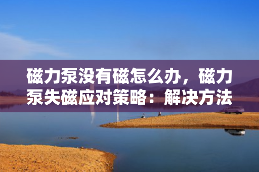 磁力泵没有磁怎么办，磁力泵失磁应对策略：解决方法与操作指南