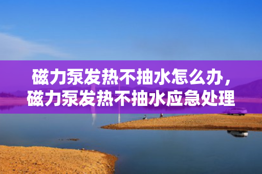磁力泵发热不抽水怎么办，磁力泵发热不抽水应急处理方案