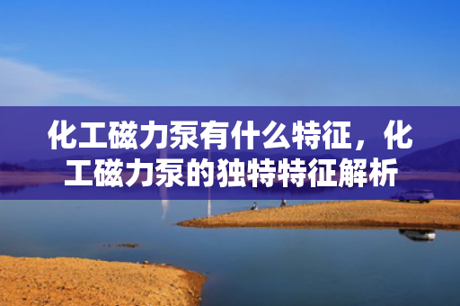 化工磁力泵有什么特征，化工磁力泵的独特特征解析