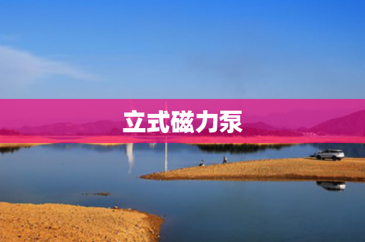立式磁力泵