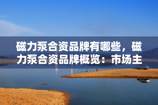 磁力泵合资品牌有哪些，磁力泵合资品牌概览：市场主要参与者一览