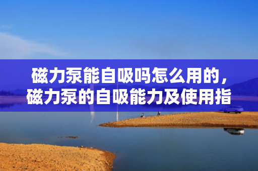磁力泵能自吸吗怎么用的，磁力泵的自吸能力及使用指南