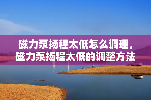 磁力泵扬程太低怎么调理，磁力泵扬程太低的调整方法