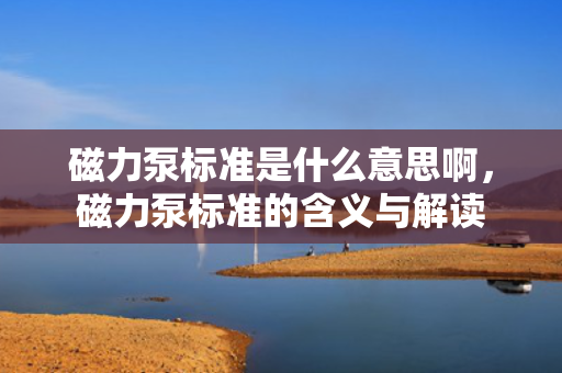 磁力泵标准是什么意思啊，磁力泵标准的含义与解读