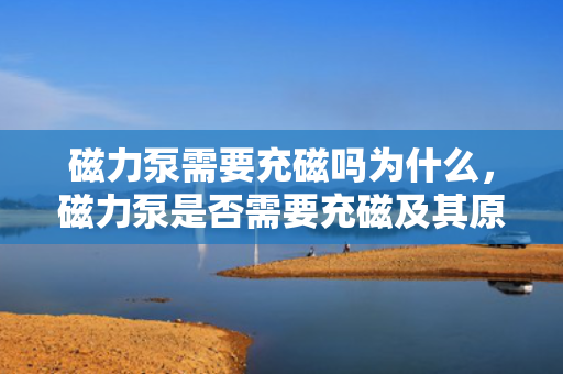 磁力泵需要充磁吗为什么，磁力泵是否需要充磁及其原因解析