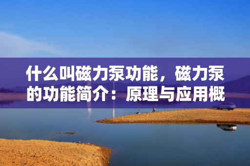 什么叫磁力泵功能，磁力泵的功能简介：原理与应用概述
