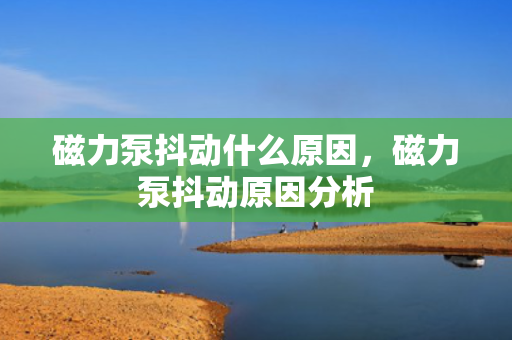 磁力泵抖动什么原因，磁力泵抖动原因分析