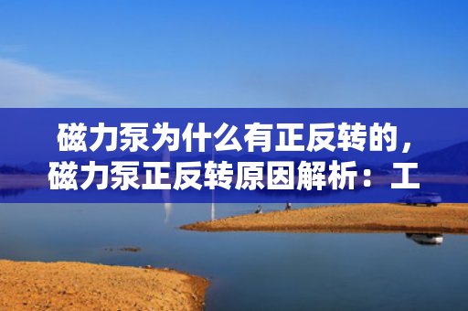 磁力泵为什么有正反转的，磁力泵正反转原因解析：工作机理与操作要求探讨