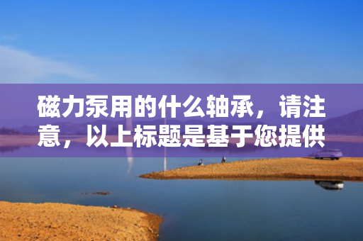 磁力泵用的什么轴承，请注意，以上标题是基于您提供的内容生成的，但具体磁力泵使用的轴承类型可能因不同的磁力泵型号和制造商而有所差异。为了获取最准确的信息，建议直接查阅相关磁力泵的制造商手册或联系制造商进行咨询。