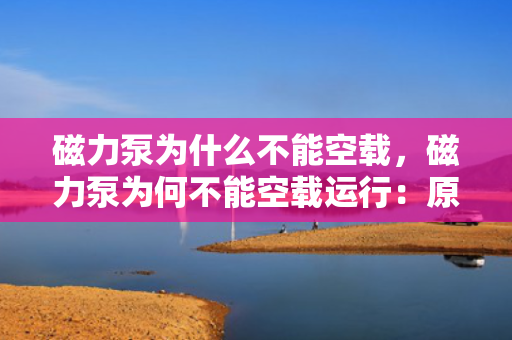 磁力泵为什么不能空载，磁力泵为何不能空载运行：原因分析与解释