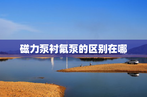 磁力泵衬氟泵的区别在哪
