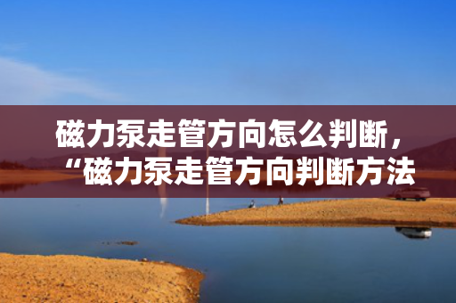磁力泵走管方向怎么判断，“磁力泵走管方向判断方法简析”
