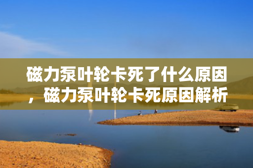 磁力泵叶轮卡死了什么原因，磁力泵叶轮卡死原因解析