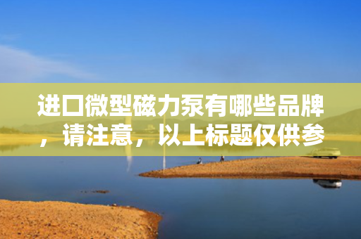 进囗微型磁力泵有哪些品牌，请注意，以上标题仅供参考，实际选择时请结合具体需求和产品特点进行综合考虑。同时，确保从正规渠道购买，以获得可靠的产品质量和售后服务。