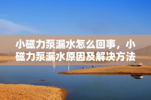 小磁力泵漏水怎么回事，小磁力泵漏水原因及解决方法探讨