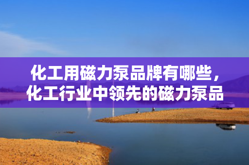 化工用磁力泵品牌有哪些，化工行业中领先的磁力泵品牌一览