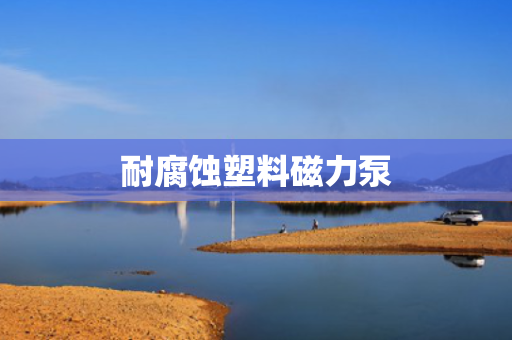 耐腐蚀塑料磁力泵