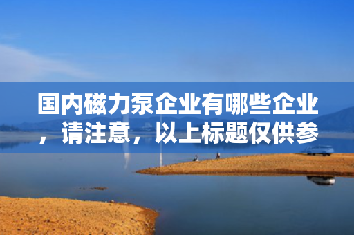 国内磁力泵企业有哪些企业，请注意，以上标题仅供参考，实际使用时可以根据文章内容和风格进行调整。同时，该标题对应的文章内容应包含国内磁力泵行业的主要企业介绍，例如可以列举并简要介绍几家具有代表性的磁力泵企业。