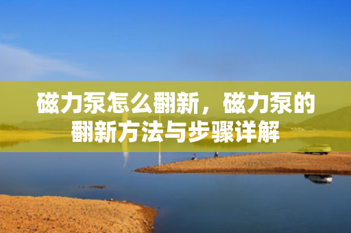 磁力泵怎么翻新，磁力泵的翻新方法与步骤详解