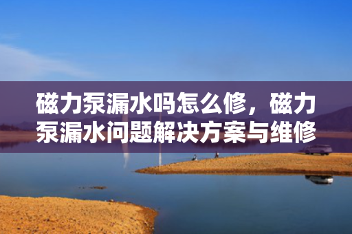 磁力泵漏水吗怎么修，磁力泵漏水问题解决方案与维修指南