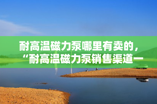 耐高温磁力泵哪里有卖的，“耐高温磁力泵销售渠道一览：专业供应商助您轻松购买”