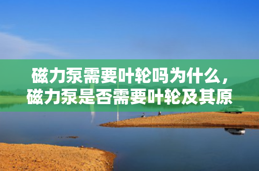 磁力泵需要叶轮吗为什么，磁力泵是否需要叶轮及其原因解析
