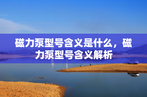 磁力泵型号含义是什么，磁力泵型号含义解析