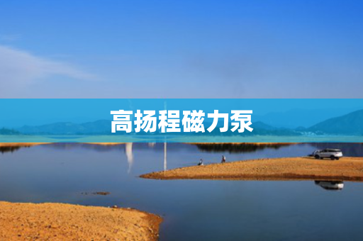 高扬程磁力泵