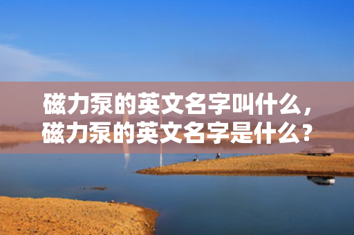 磁力泵的英文名字叫什么，磁力泵的英文名字是什么？专业术语一览