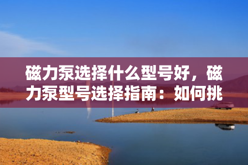 磁力泵选择什么型号好，磁力泵型号选择指南：如何挑选最适合的磁力泵型号