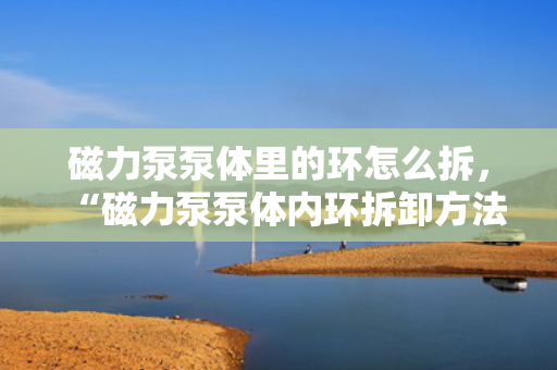 磁力泵泵体里的环怎么拆，“磁力泵泵体内环拆卸方法详解”