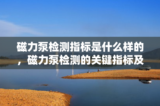 磁力泵检测指标是什么样的，磁力泵检测的关键指标及标准概述