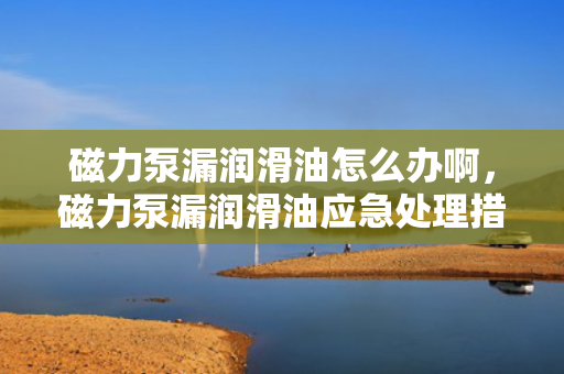 磁力泵漏润滑油怎么办啊，磁力泵漏润滑油应急处理措施与解决方案