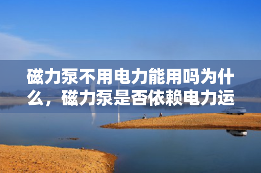 磁力泵不用电力能用吗为什么，磁力泵是否依赖电力运行？解析其工作原理及能源需求