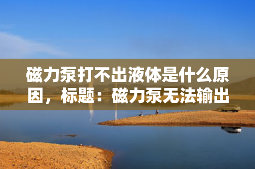 磁力泵打不出液体是什么原因，标题：磁力泵无法输出液体的原因及解决办法