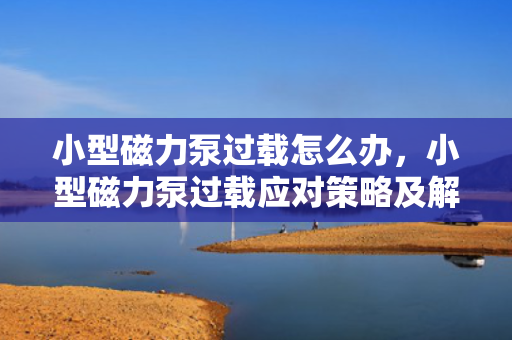小型磁力泵过载怎么办，小型磁力泵过载应对策略及解决方法