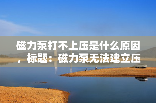 磁力泵打不上压是什么原因，标题：磁力泵无法建立压力的原因分析