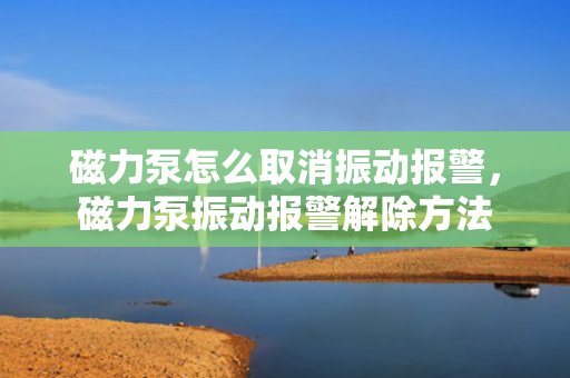 磁力泵怎么取消振动报警，磁力泵振动报警解除方法