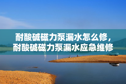 耐酸碱磁力泵漏水怎么修，耐酸碱磁力泵漏水应急维修方法