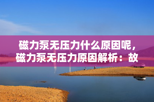 磁力泵无压力什么原因呢，磁力泵无压力原因解析：故障排查与解决方案